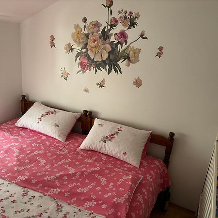 Elena Apartment ปลูชิเน ภายนอก รูปภาพ